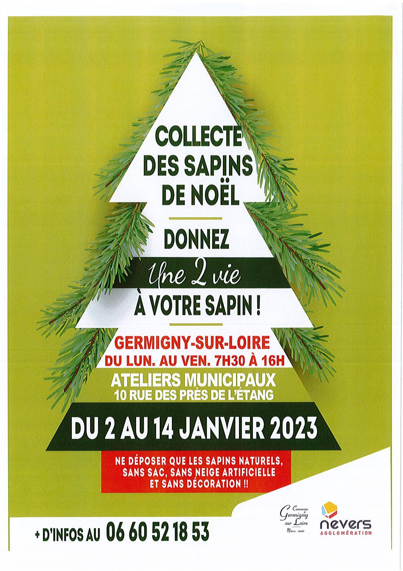 Collecte sapin